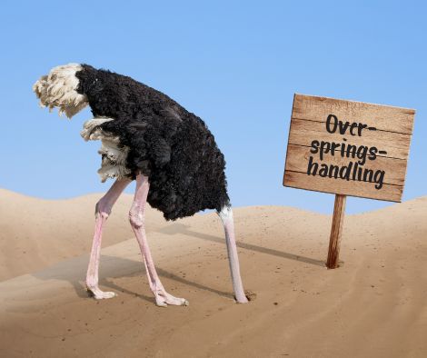 Strudsen som et overspring