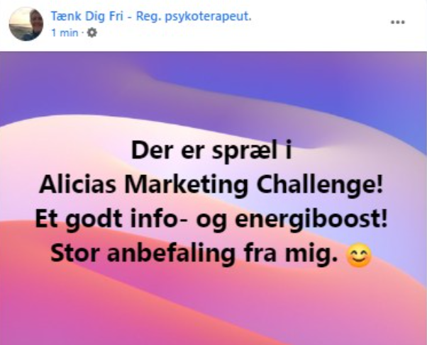 Salg og marketings Challenge